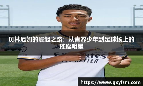 bwin必赢官网入口